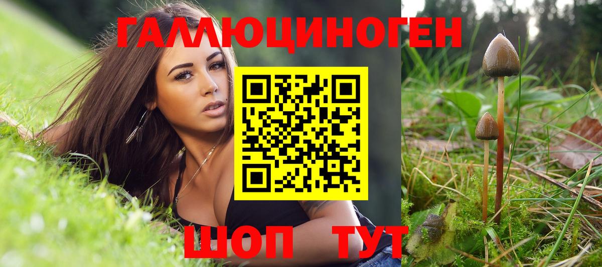 Псилоцибиновые грибы GOLDEN TEACHER Киреевск