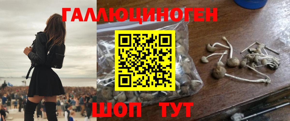 Псилоцибиновые грибы Psilocybe  Вход с VPN  где купить наркоту  Псилоцибиновые грибы прущие грибы  Киреевск 